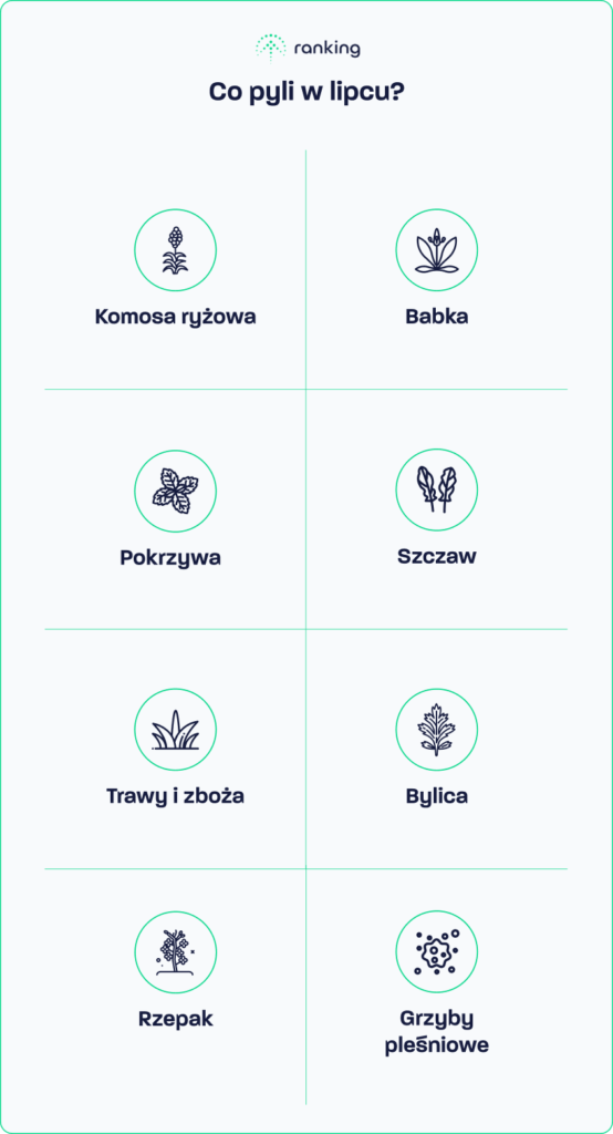 Co pyli w lipcu