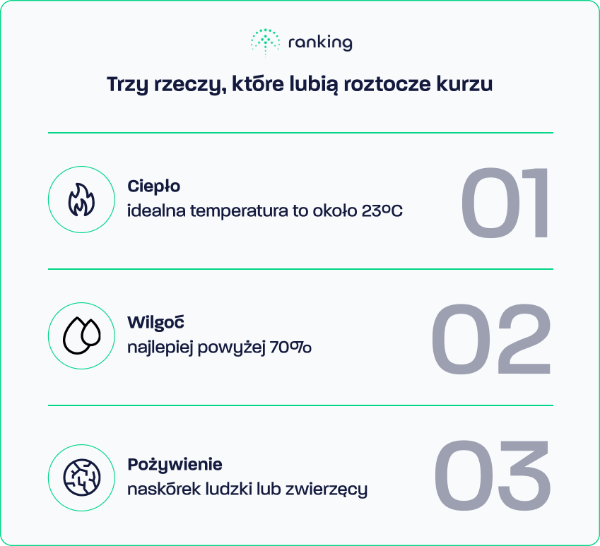 Optymalne warunki do rozwoju roztoczy kurzu domowego